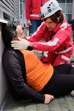 regijsko preverjanje PO (114)